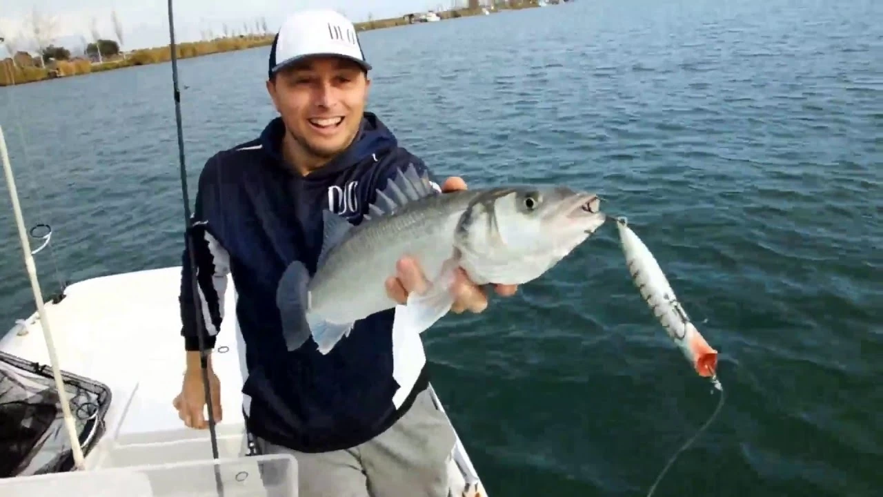 Duo Realis Pencil Popper 148SW Limited 2 Duo Realis Pencil Popper 148SW Limited - Image 2