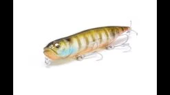Megabass Dog-X Diamante -go fishing image 1016