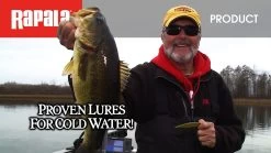 Rapala Shadow Rap 4 Rapala Shadow Rap -go fishing image 1060