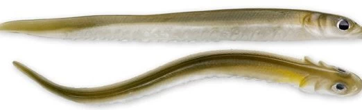 Hogy Sand Eels 1 Hogy Sand Eels