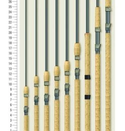 St Croix Avid Series Spinning Rods 5 St Croix Avid Series Spinning Rods -go fishing image 116