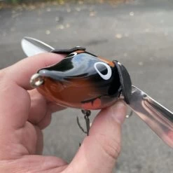 Fish Arrow Wing Dachs 5 Fish Arrow Wing Dachs -go fishing image 1191