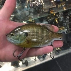 Imakatsu Gillroid Swimbait -go fishing image 1215