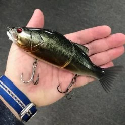 Imakatsu Bassroid Swimbait -go fishing image 1220