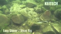 Keitech Easy Shiner Swimbaits -go fishing image 1251