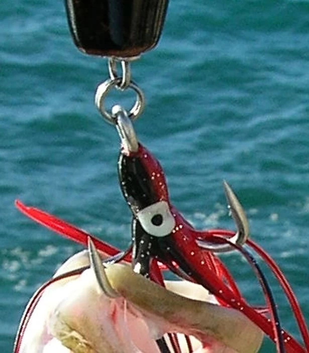 Wolverine Split Rings 1 Wolverine Split Rings