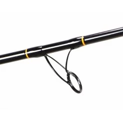 Lamiglas Carbon Surf Spinning Rods