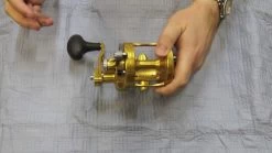 Avet MXL 6/4 MC RAPTOR Lever Drag Reel 6 Avet MXL 6/4 MC RAPTOR Lever Drag Reel -go fishing image 42