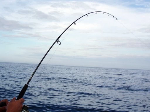 Shimano Trevala Jigging Spinning Rods 2 Shimano Trevala Jigging Spinning Rods - Image 2