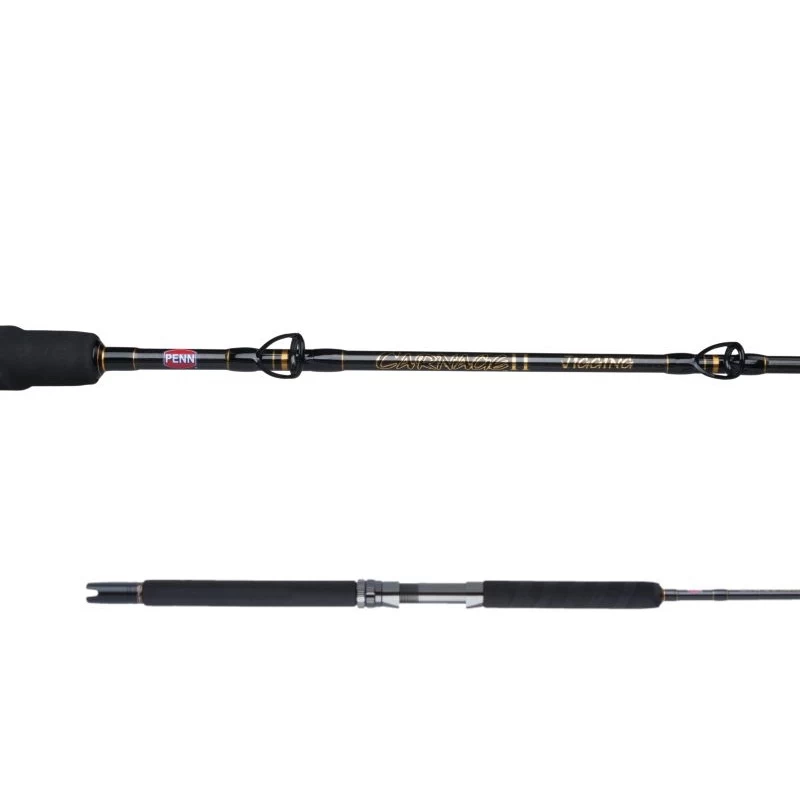 Penn Carnage II Jigging Spinning Rods 1 Penn Carnage II Jigging Spinning Rods