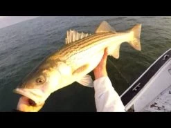 Tsunami Trophy Slow Pitch Jigging Casting Rods -go fishing image 494