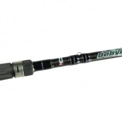Dobyns Sierra Casting Rods 9 Dobyns Sierra Casting Rods -go fishing image 533