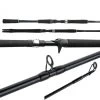 Shimano Teramar NE Inshore Casting Rods
