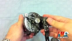 Avet LX 6/3 MC RAPTOR Lever Drag Reel -go fishing image 59