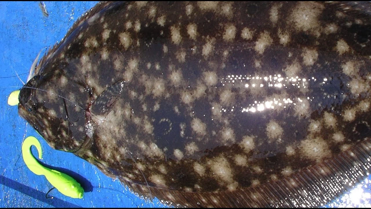 Tsunami Classic Casting Rods 7 Tsunami Classic Casting Rods - Image 7