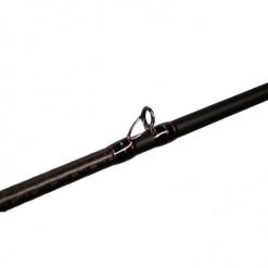 Dobyns Champion Extreme HP Casting Rods -go fishing image 630