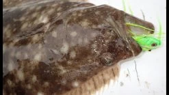 Tsunami Slimwave Casting Rods -go fishing image 659