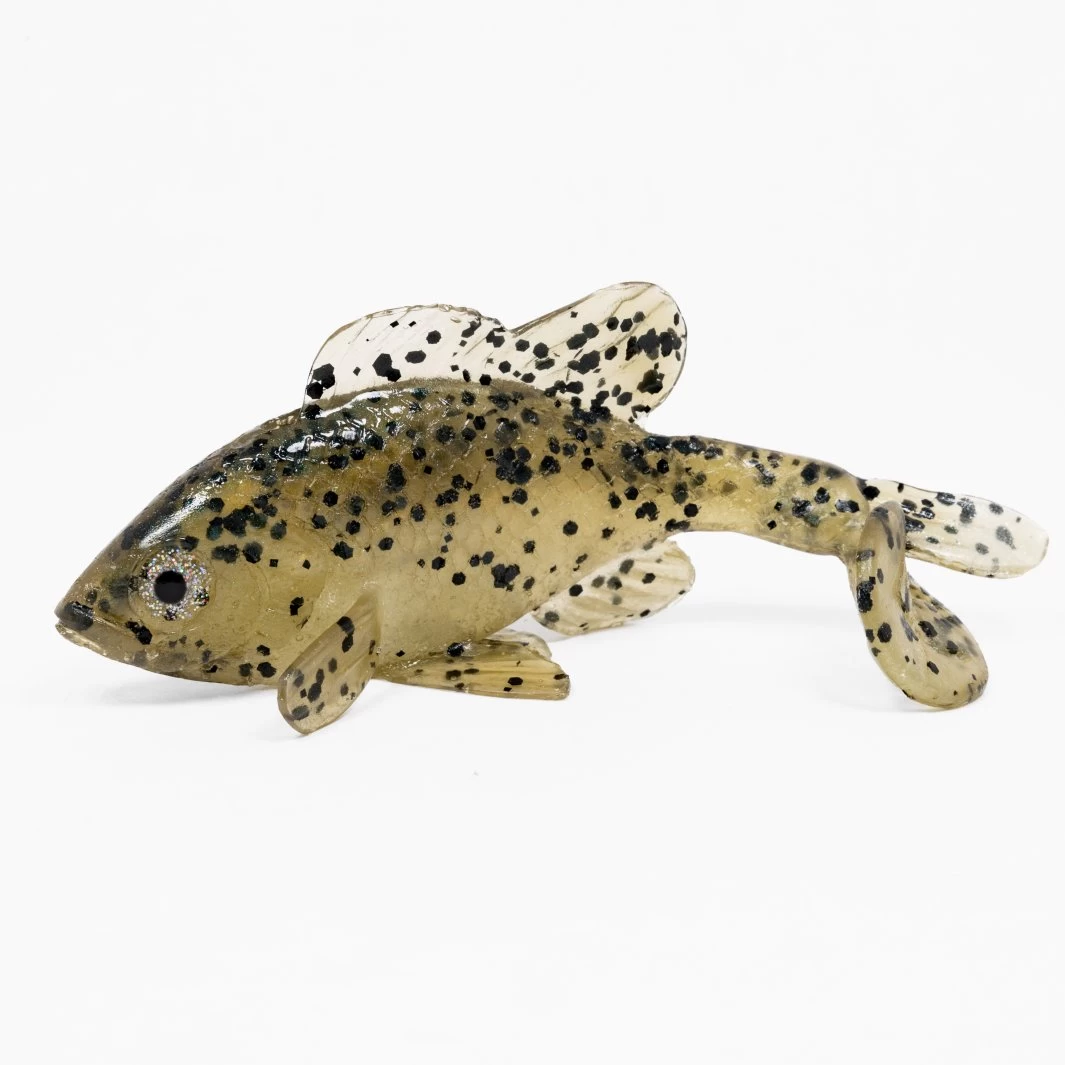 Little Creeper All American Sun Fish 1 Little Creeper All American Sun Fish